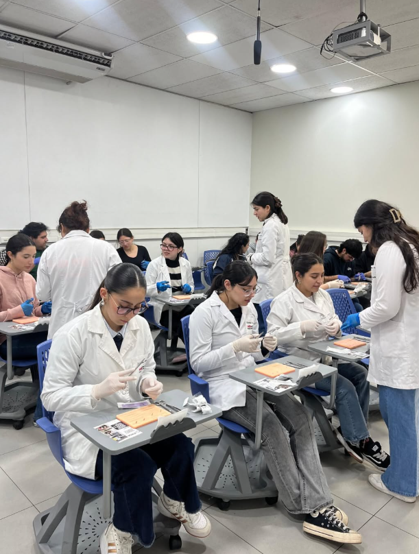 Estudiantes de Medicina UDP participaron en segundo Taller de Suturas ...